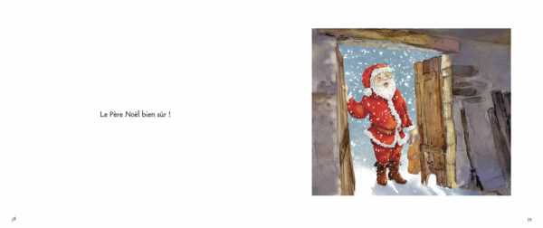 Solila le sapin qui n'avait que deux branches (Livre + CD) – Image 7