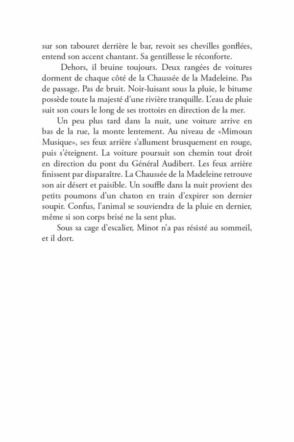 Saltimbanque (roman) – Image 10
