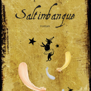 Saltimbanque (roman)